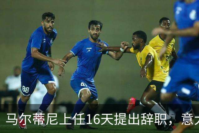 马尔蒂尼上任16天提出辞职，意大利选帅波谲云诡